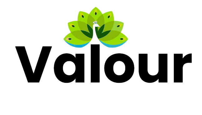 Valour Logo